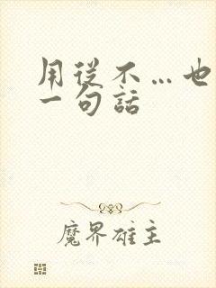 用从不…也不写一句话