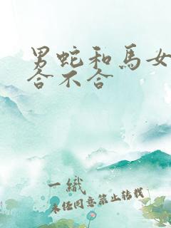 男蛇和马女属相合不合