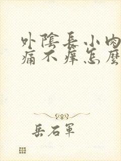 外阴长小肉粒不痛不痒怎么回事