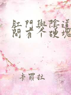 肛门与阴道口之间有个硬块