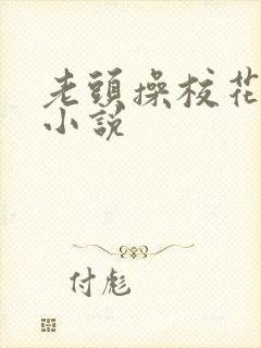 老头操校花小嘴小说