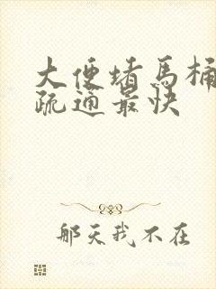 大便堵马桶怎么疏通最快