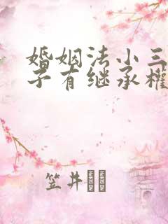 婚姻法小三的孩子有继承权吗