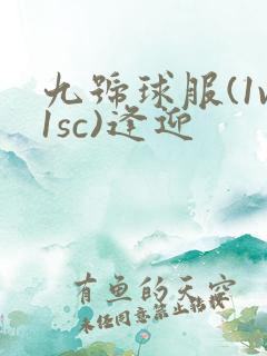 九号球服(1v1sc)逢迎