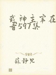 武神主宰在线观看597集