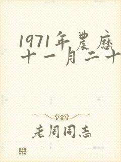 1971年农历十一月二十九是什么星座