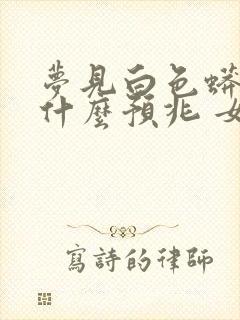 梦见白色蟒蛇是什么预兆 女性解梦