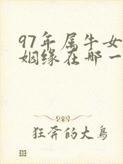 97年属牛女孩姻缘在哪一年