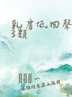 乳房低回声结节3类