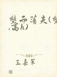 双面荡夫(双性,高h)