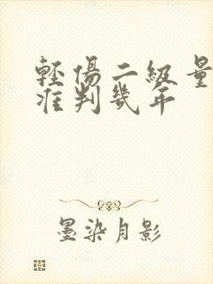 轻伤二级量刑标准判几年