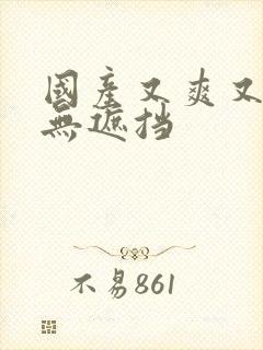 国产又爽又黄又无遮挡