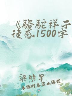 《骆驼祥子》读后感1500字