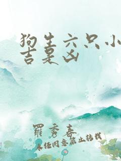 狗生六只小狗是吉是凶