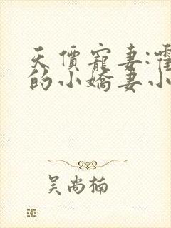 天价宠妻:霍总的小娇妻小说免费