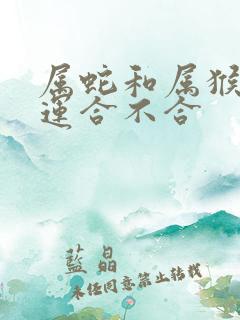 属蛇和属猴的财运合不合