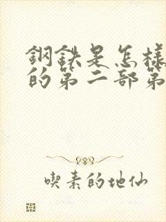 钢铁是怎样炼成的第二部第六章感受