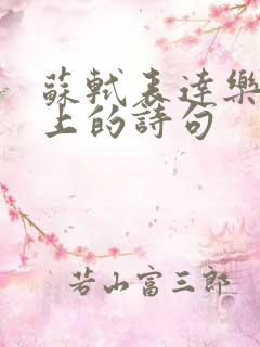 苏轼表达乐观向上的诗句