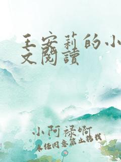 王安莉的小说全文阅读