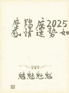 摩羯座2025感情运势如何