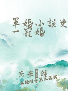 军婚小说史上第一宠婚