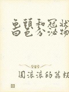 龟头和冠状沟有白色分泌物,发出恶臭