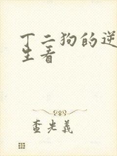 丁二狗的逆袭人生看