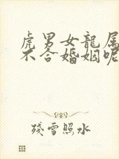 虎男女龙属相合不合婚姻呢