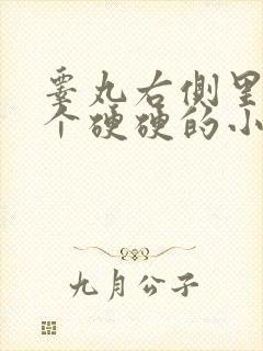 睾丸右侧里面有个硬硬的小疙瘩