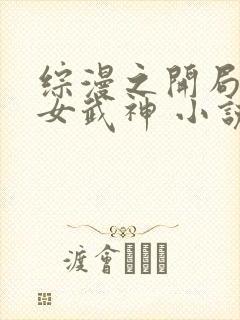 综漫之开局变身女武神 小说