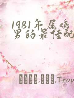1981年属鸡男的最佳配偶婚配