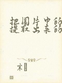 把图片中的文字提取出来的软件