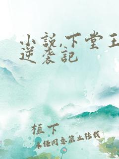 小说,下堂王妃逆袭记