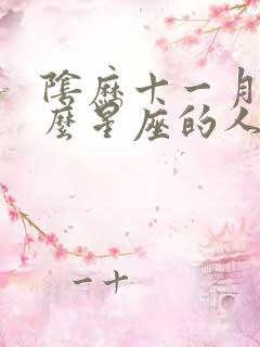 阴历十一月是什么星座的人