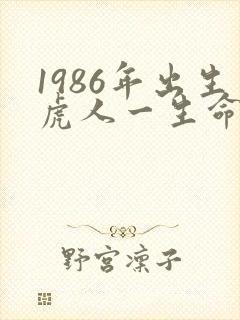 1986年出生虎人一生命运