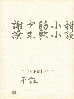 谢少的小甜妻又撩又软小说