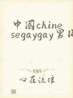 中国chinesegaygay男同网站