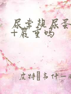 尿常规尿蛋白1+严重吗