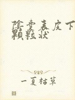 阴囊表皮下有硬颗粒状