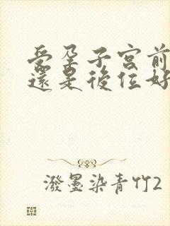 受孕子宫前位好还是后位好