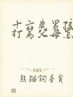 十六岁男孩叛逆打骂父母怎么办