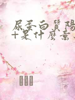 尿蛋白质阳性3+是什么意思,严重吗