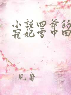 小说四爷的心尖宠妃雪中回眸