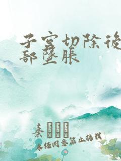 子宫切除后下腹部坠胀