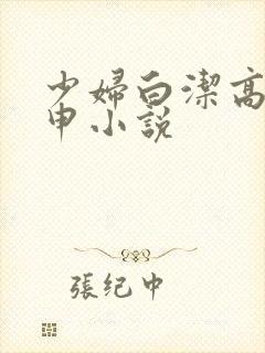 少妇白洁高义王申小说