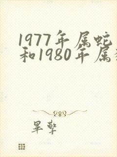 1977年属蛇和1980年属猴合适吗