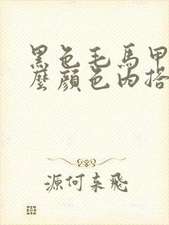 黑色毛马甲配什么颜色内搭好看