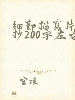 细节描写片段摘抄200字左右