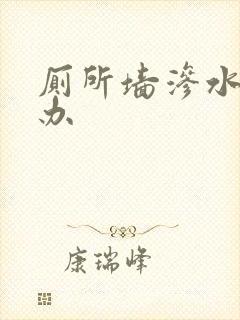 厕所墙渗水怎么办