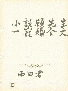 小说顾先生的第一宠婚全文阅读